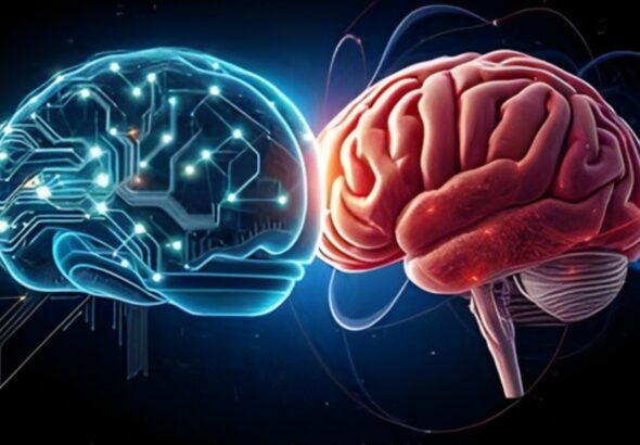 Usamos realmente todo nuestro cerebro1 La verdad incómoda sobre la inteligencia humana y la IA_BIEN
